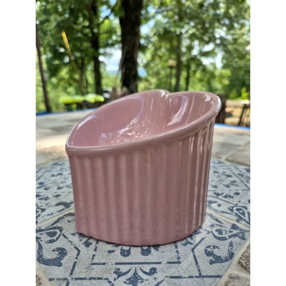 Ceramic Raised Cat-Bowls,Tilted Elevated Food or Water Bowls,Stress Free Mauve